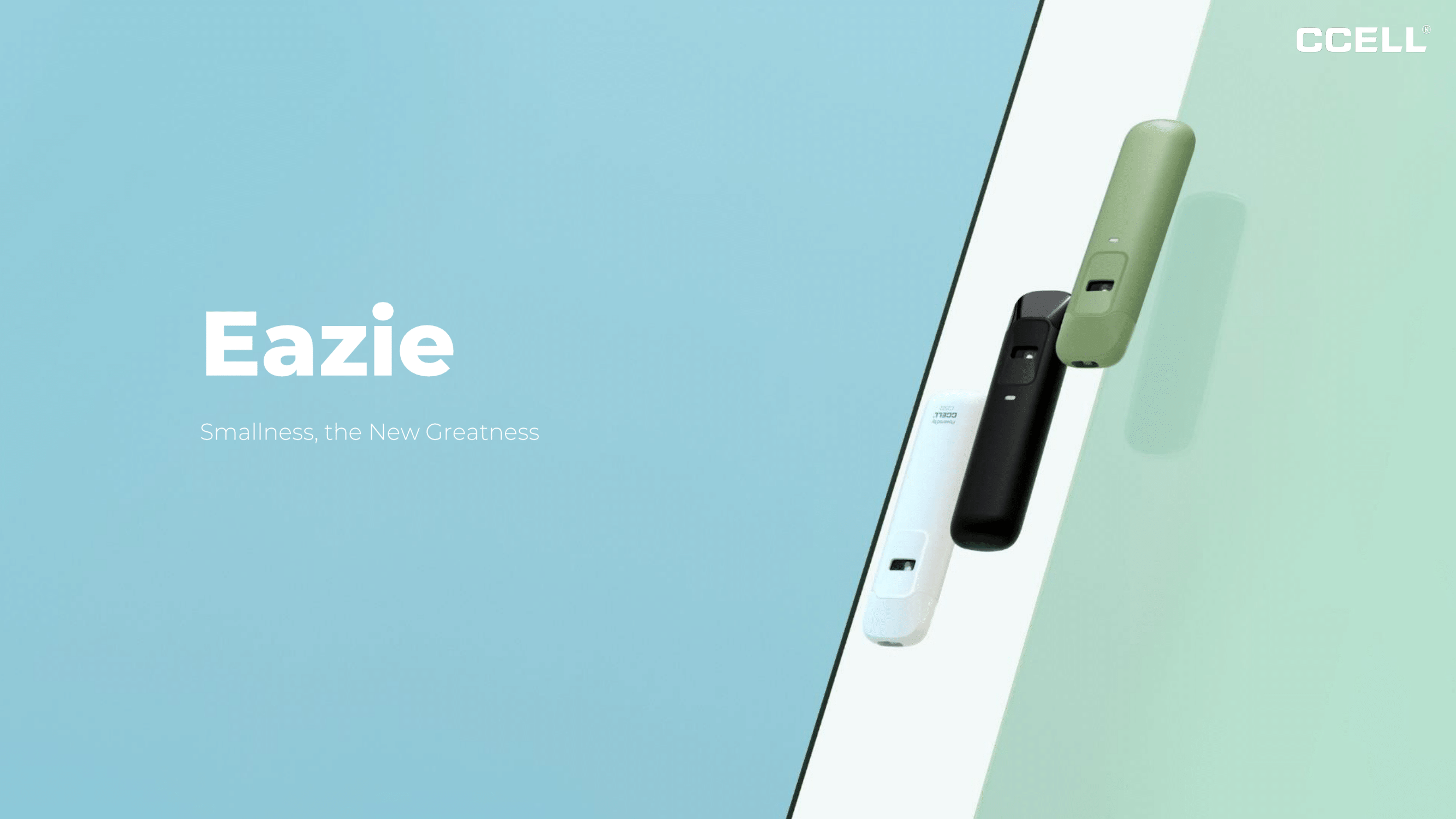 CCELL Eazie DS3003 Launch File-1